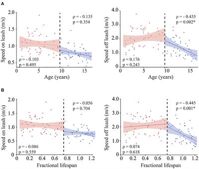 Winning the race with aging: age-related changes in gait speed and its association with cognitive performance in dogs